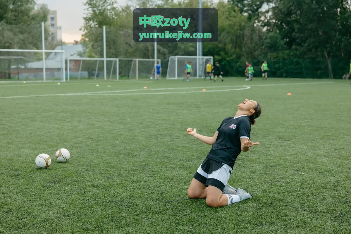 中欧zoty供应链优化