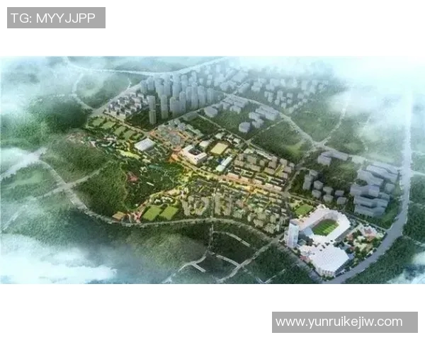 重庆专业足球场建设进展与未来发展规划全解析